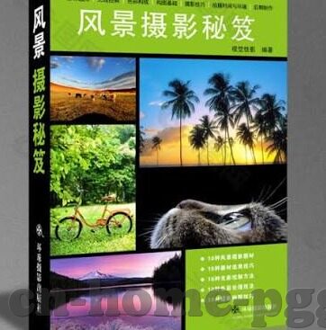 世界杯扩军的赛制-世界杯扩军后的赛制变革，挑战与机遇并存